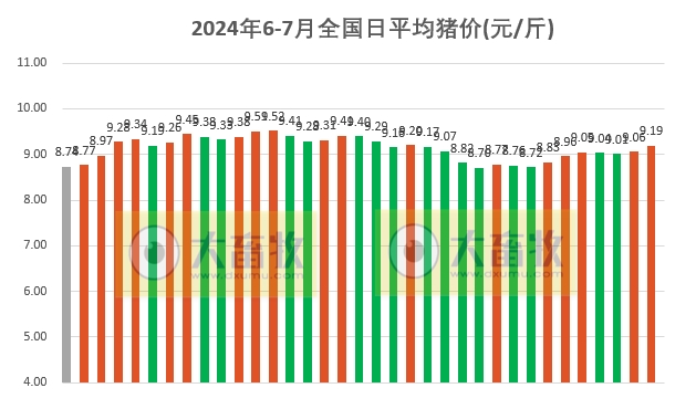 2024.07.05今日猪价——一路飘红，有18省全面突破9元
