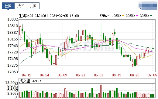 2024.07.06今日猪价——连涨3天，大多数继续上涨