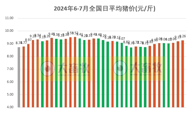 2024.07.06今日猪价——连涨3天，大多数继续上涨