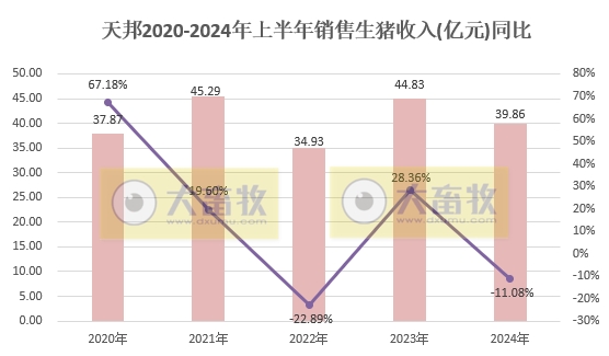 天邦食品：6月生猪销量同环比均减少，上半年生猪销量超300万头同比减少1.5%，仔猪销量约100万头同比增长85%
