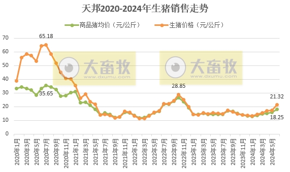 天邦食品：6月生猪销量同环比均减少，上半年生猪销量超300万头同比减少1.5%，仔猪销量约100万头同比增长85%
