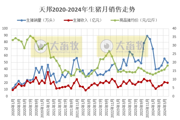 天邦食品：6月生猪销量同环比均减少，上半年生猪销量超300万头同比减少1.5%，仔猪销量约100万头同比增长85%