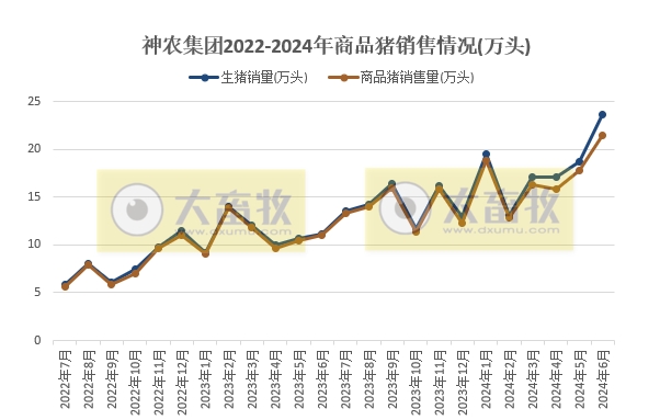 神农、傲农、东瑞和正虹2024年6月及上半年生猪销售情况