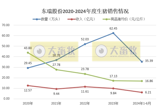 神农、傲农、东瑞和正虹2024年6月及上半年生猪销售情况