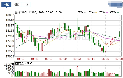 2024.07.09今日猪价——一路飘红,大幅上涨