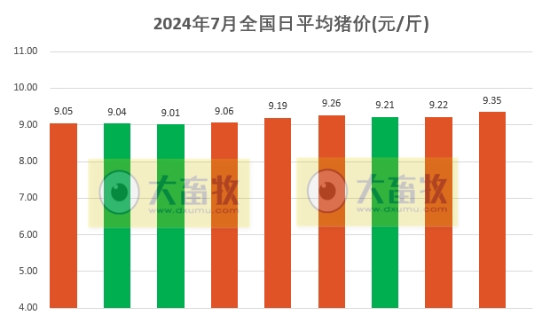 2024.07.09今日猪价——一路飘红,大幅上涨