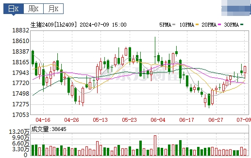2024.07.10今日猪价——继续飘红,广东破10