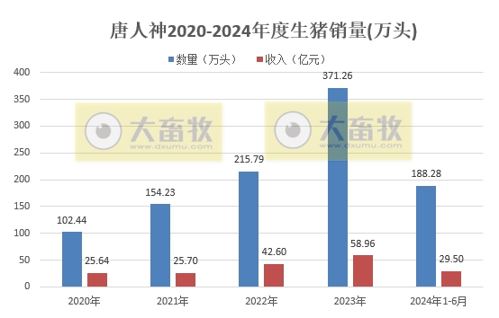 唐人神和正邦2024年6月及上半年生猪销售情况