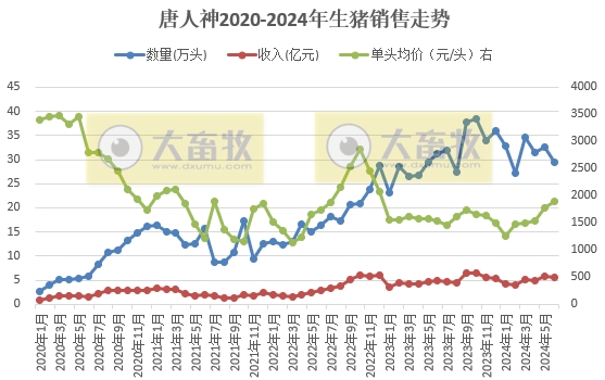 唐人神和正邦2024年6月及上半年生猪销售情况