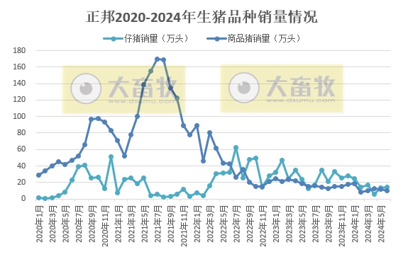 唐人神和正邦2024年6月及上半年生猪销售情况