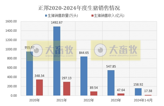 唐人神和正邦2024年6月及上半年生猪销售情况