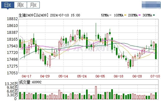 2024.07.11今日猪价——大部分调整向下