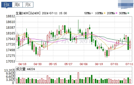 2024.07.12今日猪价——继续向下调整