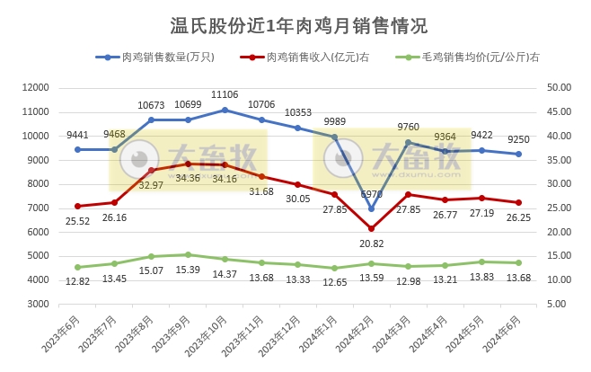 温氏、立华和湘佳2024年6月和上半年肉鸡销售情况
