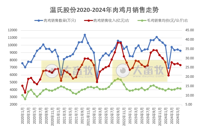 温氏、立华和湘佳2024年6月和上半年肉鸡销售情况