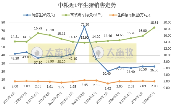 中粮、天康、京基和金新农2024年6月及上半年生猪销售情况