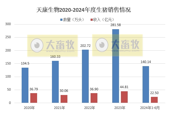 中粮、天康、京基和金新农2024年6月及上半年生猪销售情况