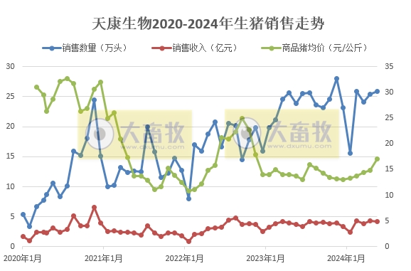 中粮、天康、京基和金新农2024年6月及上半年生猪销售情况