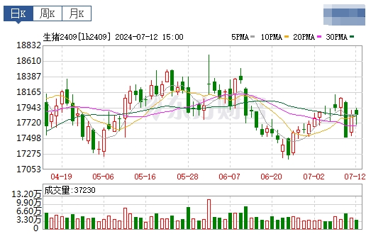 2024.07.13今日猪价——止跌反弹，广东再次突破10元