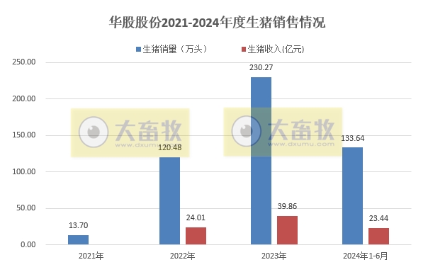 华统、罗牛山和益生2024年6月及上半年生猪销售情况