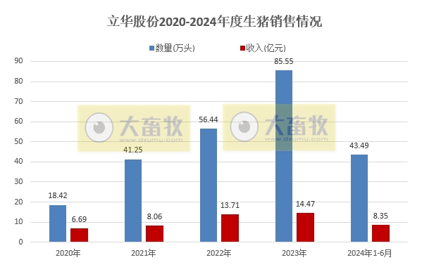 立华股份2024年6月及上半年肉鸡和肉猪销售情况