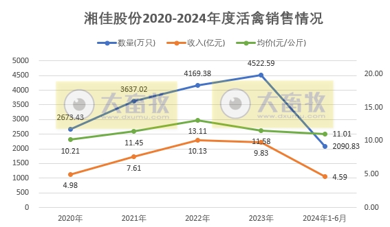 温氏、立华和湘佳2024年6月和上半年肉鸡销售情况