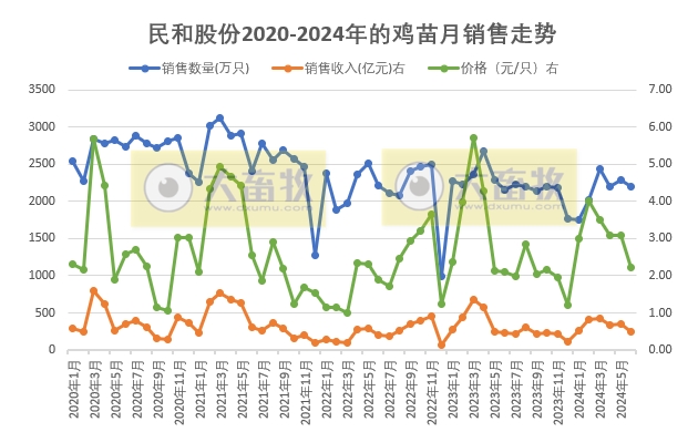 益生、民和和晓鸣2024年6月及上半年鸡苗销售情况