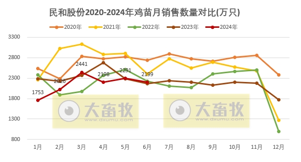 益生、民和和晓鸣2024年6月及上半年鸡苗销售情况