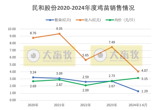 益生、民和和晓鸣2024年6月及上半年鸡苗销售情况