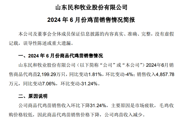 益生、民和和晓鸣2024年6月及上半年鸡苗销售情况