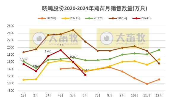 益生、民和和晓鸣2024年6月及上半年鸡苗销售情况