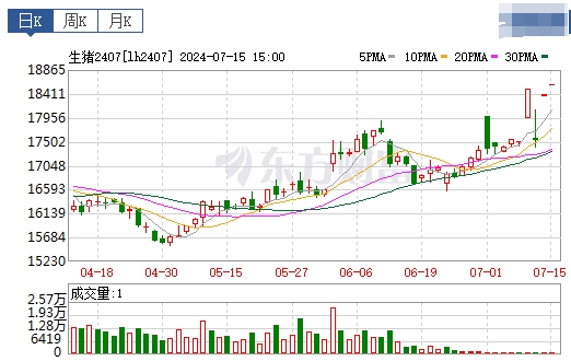 2024.07.16今日猪价——一路飘红，多地突破10元