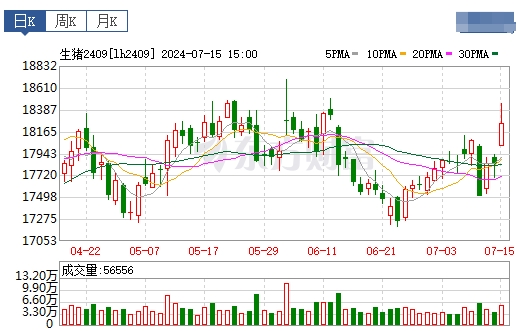 2024.07.16今日猪价——一路飘红，多地突破10元