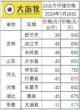 2024.07.16今日猪价——一路飘红，多地突破10元