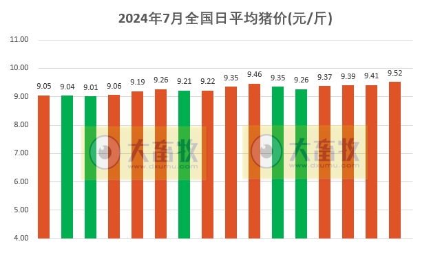 2024.07.16今日猪价——一路飘红，多地突破10元