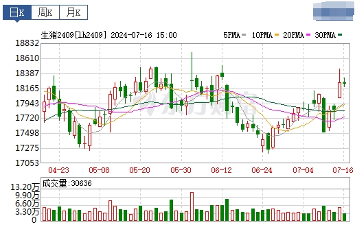 2024.07.17今日猪价——继续飘红，10省突破10元，均价阶段性创新高