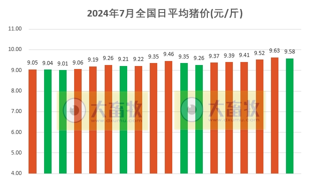2024.07.18今日猪价——大多数止涨回落