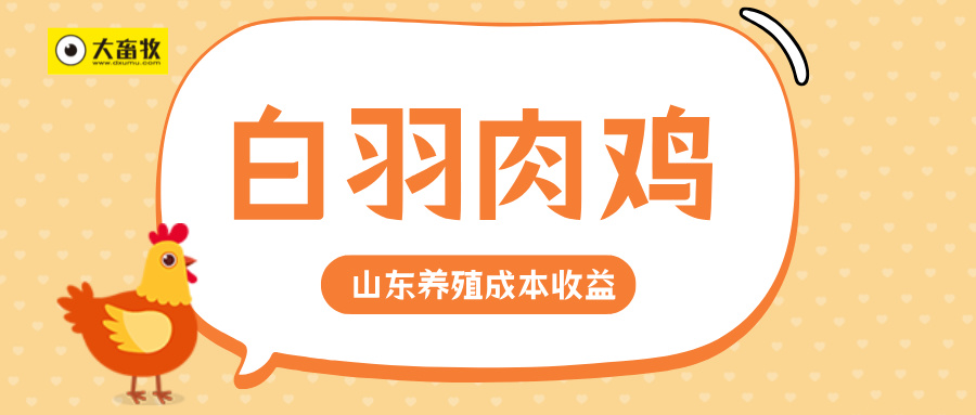 鸡肉价格震荡，雏鸡价格高企，预计鸡肉产品价格或保持小幅震荡上行态势——山东省2024年第3季度白羽肉鸡养殖成本收益情况