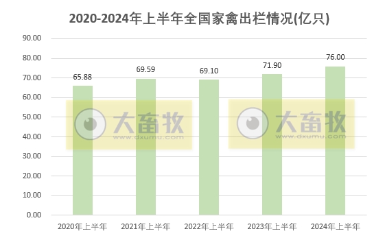 2024年上半年全国畜牧业数据