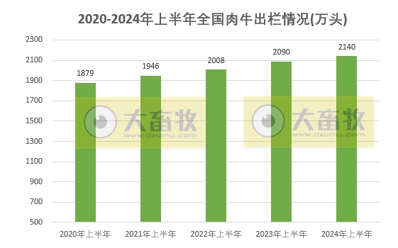 2024年上半年全国畜牧业数据