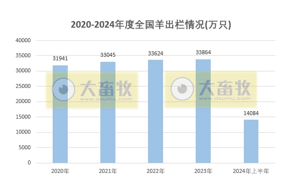 2024年上半年全国畜牧业数据
