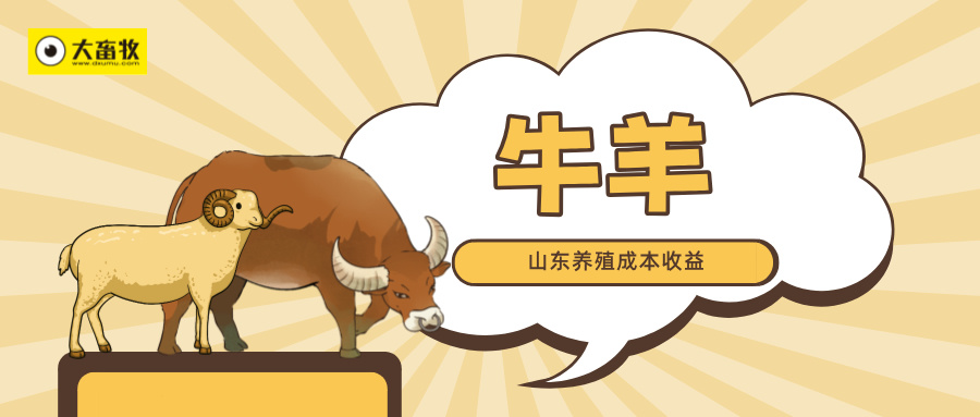 山东省2025年三季度牛羊市场行情分析——肉牛价格持续走高，养殖盈利向好；肉羊价格震荡回暖，收益增加