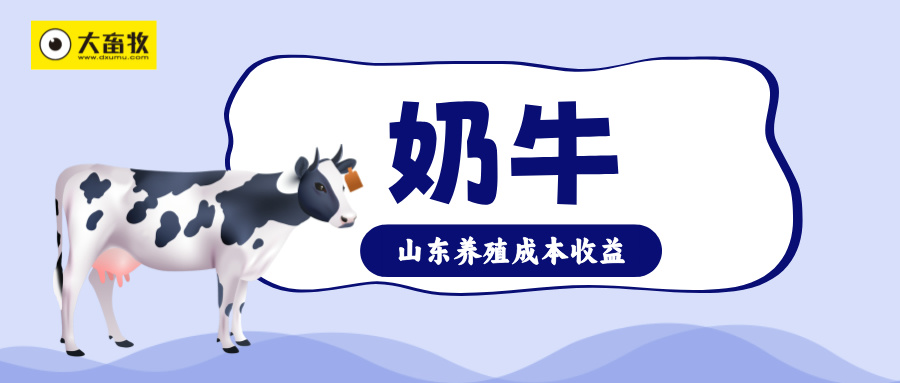 山东省2025年三季度奶牛市场行情分析及后市预期——奶价创周期新低，养殖深度亏损