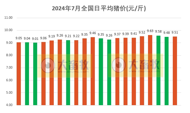 2024.07.20今日猪价——半数省份止跌上涨，无下跌省份
