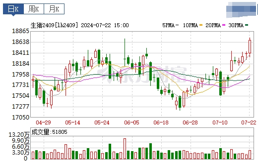 2024.07.23今日猪价——上涨势头更强一些