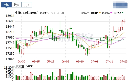 2024.07.24今日猪价——一路飘红，多地突破10元，广东升至10.6元
