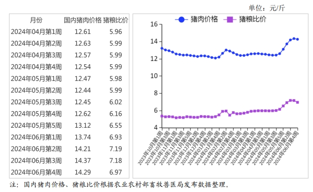 2024年6月国内和国际猪肉市场行情分析——猪肉价格显著上涨