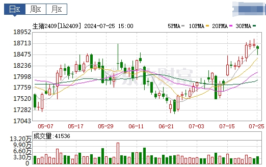 2024.07.26今日猪价——大部分出现下跌