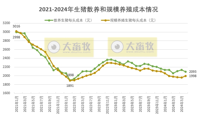 2024年6月生猪养殖成本和收益情况