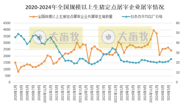 2024年6月全国规模以上生猪定点屠宰企业屠宰情况